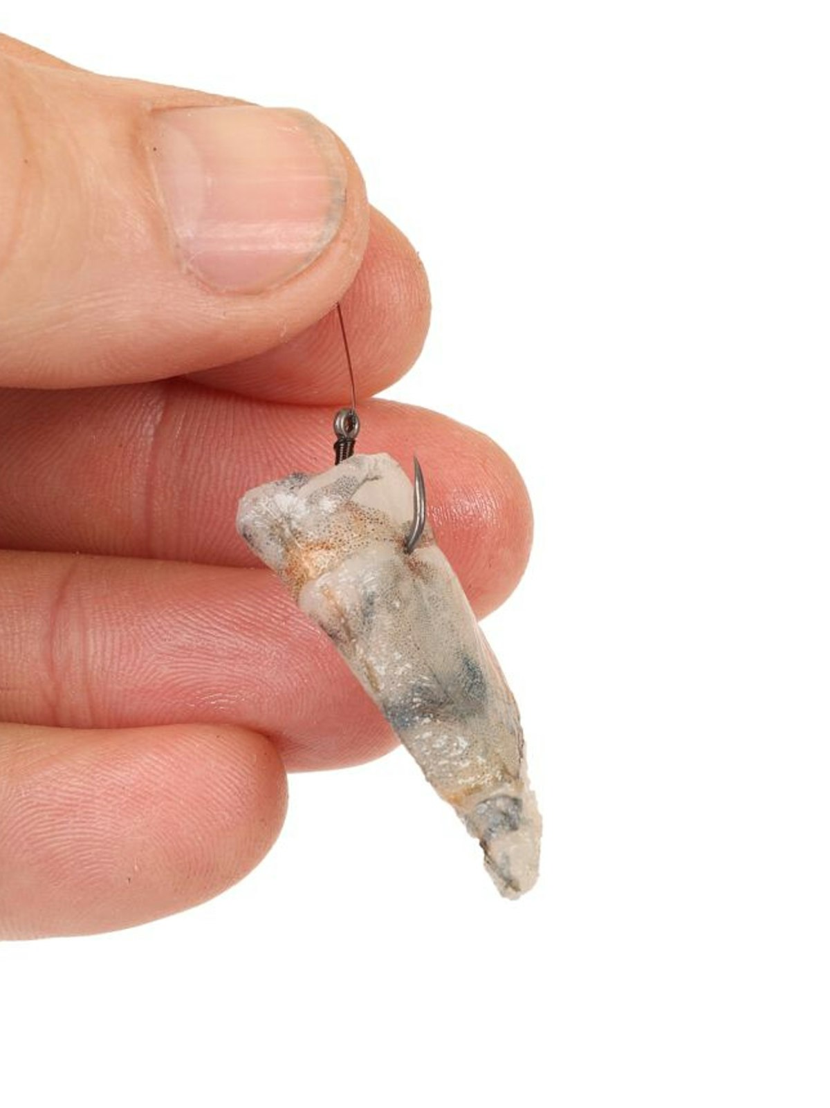 Weird fishing baits that are well worth a cast Angling Times